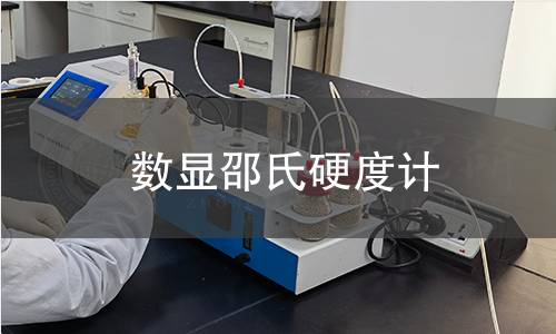 數(shù)顯邵氏硬度計(jì)