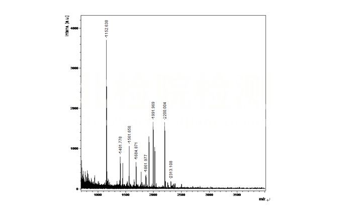 蛋白質(zhì)質(zhì)譜檢測