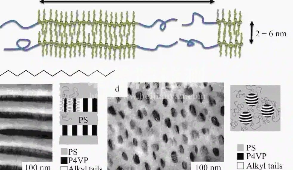 嵌段共聚物檢測(cè)