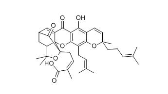 藤黃酸測(cè)定