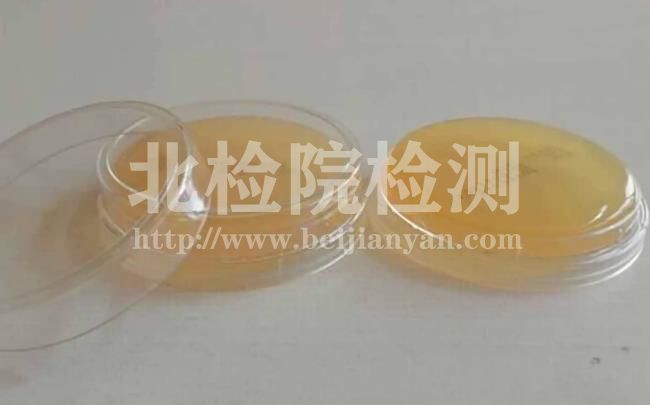 瓊脂培養基檢測