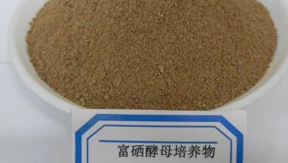 酵母培養物測定