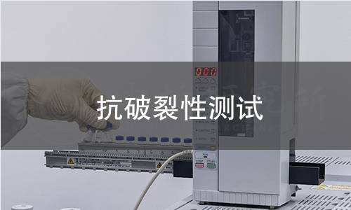 抗破裂性測試