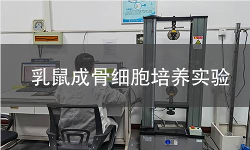 乳鼠成骨細(xì)胞培養(yǎng)實(shí)驗(yàn)