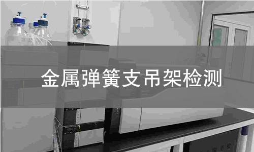 金屬彈簧支吊架檢測