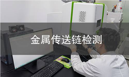 金屬傳送鏈檢測