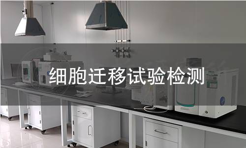 細胞遷移試驗檢測