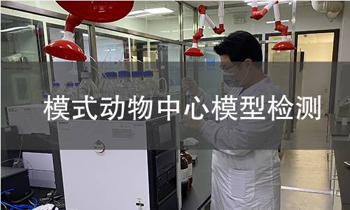 模式動物中心模型檢測