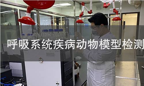 呼吸系統疾病動物模型檢測
