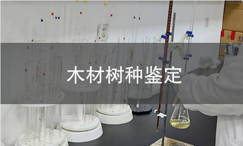 木材樹種鑒定
