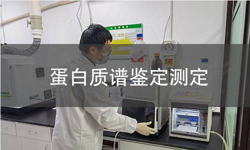 蛋白質(zhì)譜鑒定測(cè)定