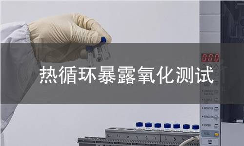 熱循環(huán)暴露氧化測試