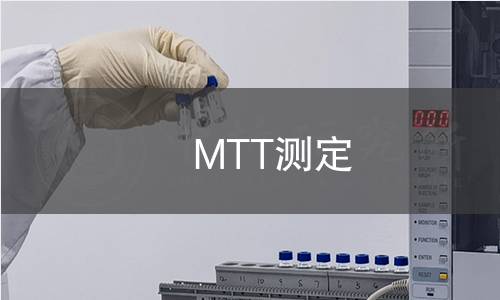 MTT測定