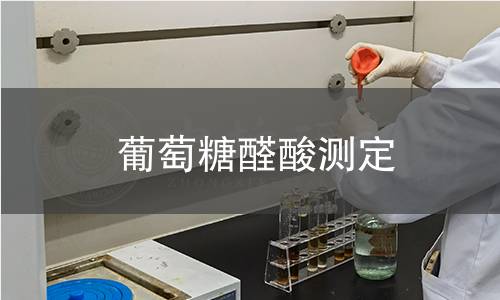 葡萄糖醛酸測定