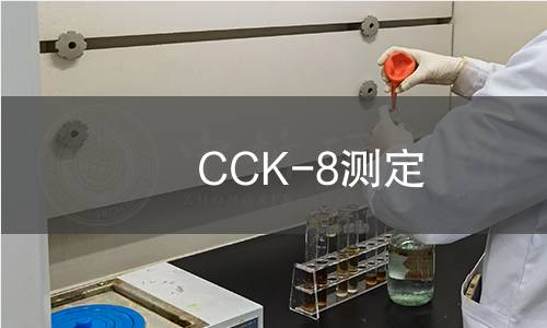 CCK-8測定