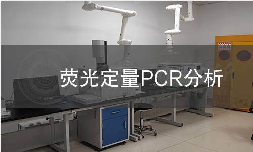 熒光定量PCR分析