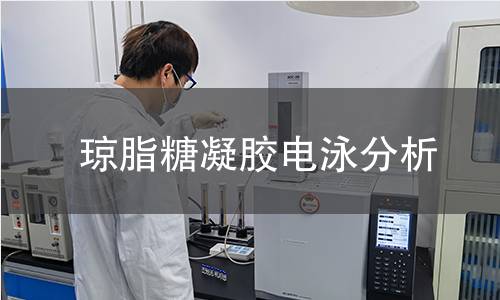 瓊脂糖凝膠電泳分析