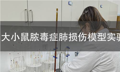 大小鼠膿毒癥肺損傷模型實驗