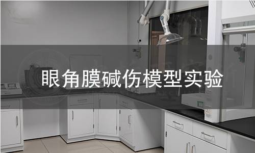 眼角膜堿傷模型實(shí)驗(yàn)