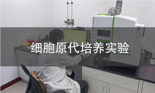 細胞原代培養實驗